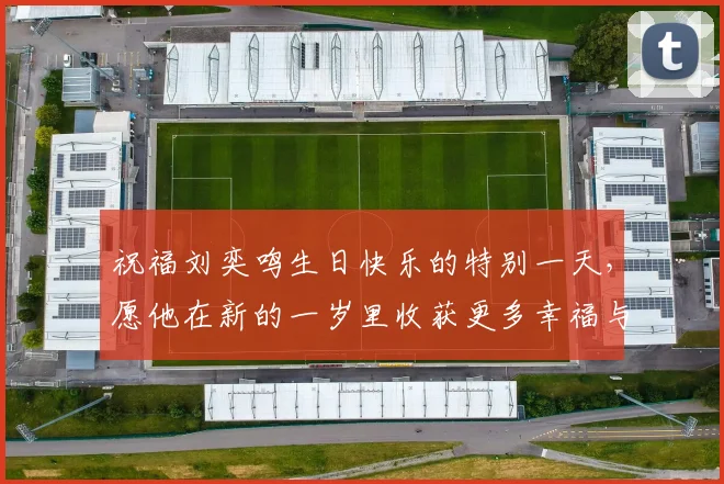 祝福刘奕鸣生日快乐的特别一天，愿他在新的一岁里收获更多幸福与成功