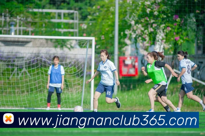 App Interface Preview